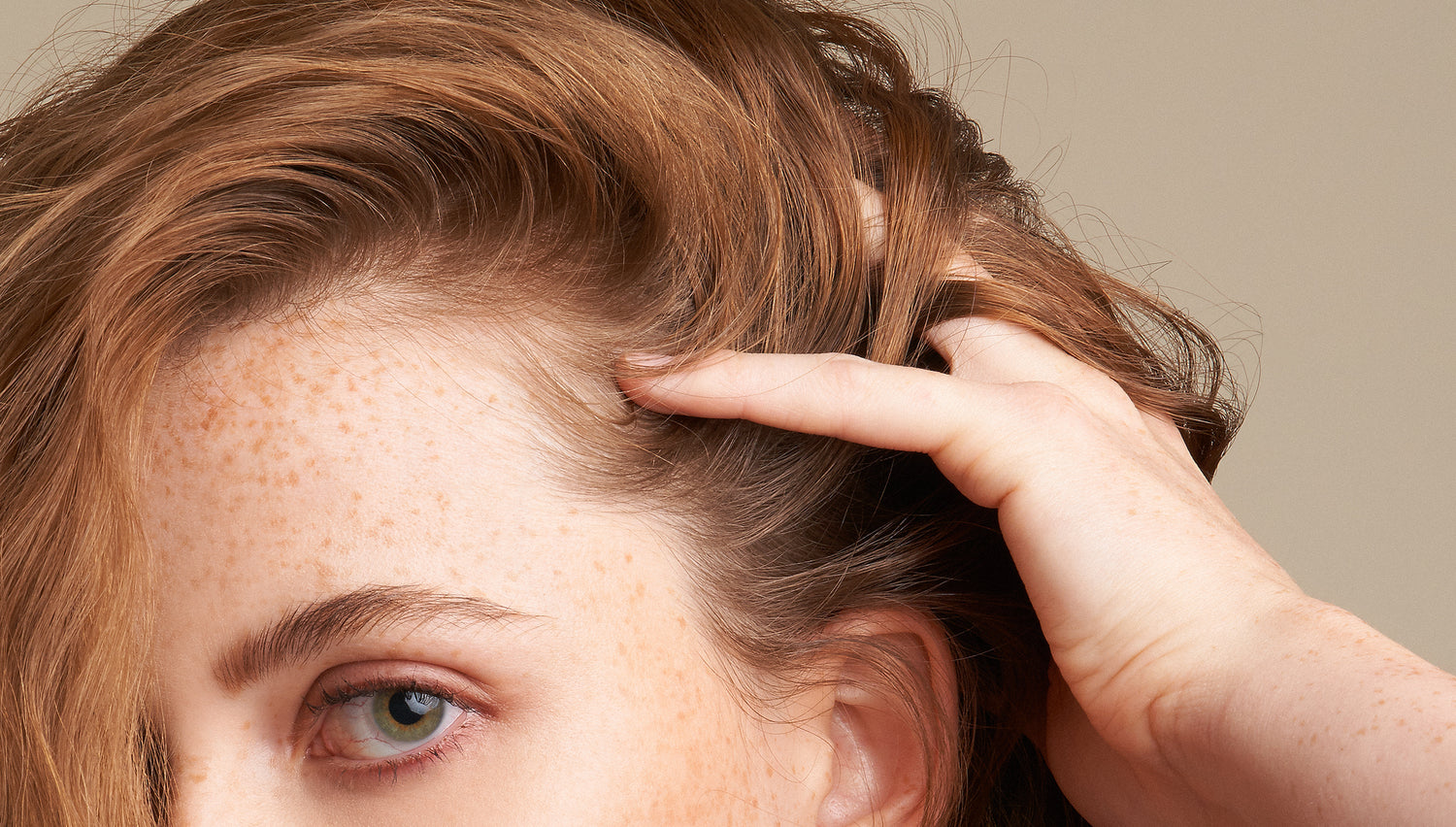Wildcrafted Hair Bars